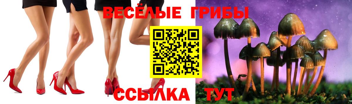 Псилоцибиновые грибы Psilocybine cubensis  Вход с VPN  закладка  Тула 